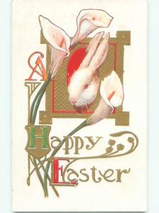 Divided-Back EASTER BUNNY RABBIT SCENE Cute Postcard AA1232