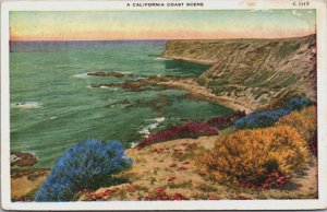 A California Coast Scene California Postcard C197