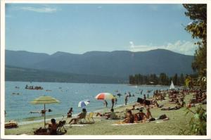 Scotch Creek Provincial Park Shuswap Lake BC British Columbia Postcard D41