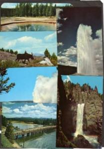 Lot 6 Yellowstone National National Park Postcards