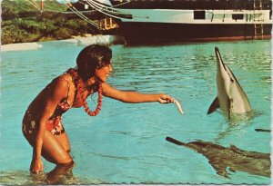 Sea Life Park Hawaii HI Pretty Woman Feeds Porpoise Unused Vintage Postcard C2