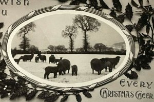 Vintage Postcard Christmas Rotograph Real Photo Sheep in Snow 1912