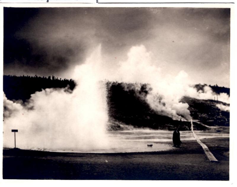 Haynes 10083 Constant Geyser, Norris Basin, Yellowstone National Park