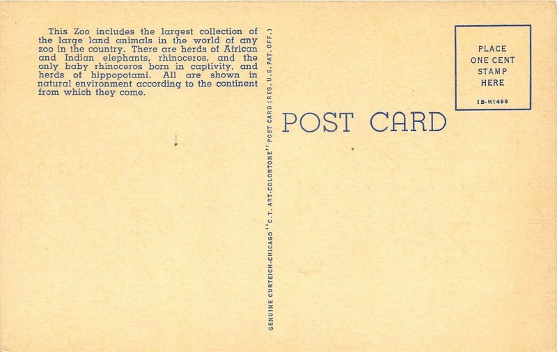 Brookfield Illinois 1940s Postcard Chicago ZOO Elephant