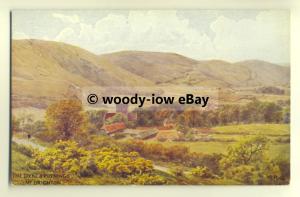 ar0115 - Dyke and Poynings, Nr Brighton, Artist - A.R.Quinton - Postcard *991