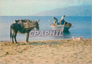 Postcard Modern Greece Picturesque the Seaside Donkey Donkey fishing boat