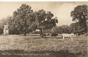 Buckinghamshire Postcard - Stoke Poges - The Lowing Herd Wind - Ref TZ6815