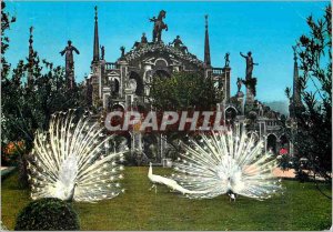 Postcard Modern Lake Maggiore Isola Bella garden with peacocks