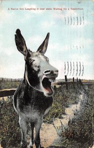 Native Son Laughing Donkey 1909 postal marking on front