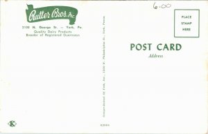 Postcard PA York Aerial View of Home of Rutter Bros Inc. Dairy Farm 1950s S25