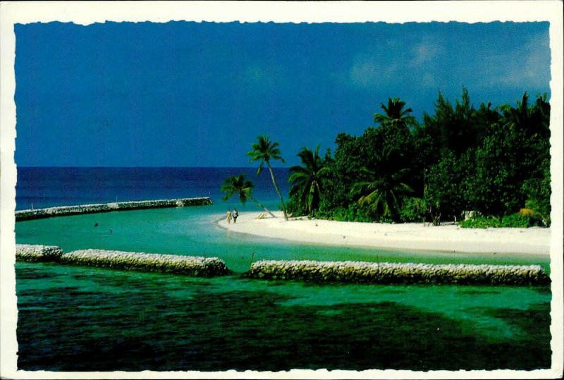 JD0017 maldives islands arabian sea indian ocean palmtree sand beach bird stamp