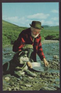 Panning For Gold,Near Nome,AK Postcard