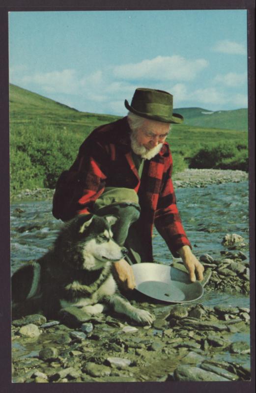 Panning For Gold,Near Nome,AK Postcard