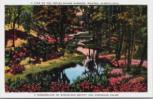 A View Of The Azalea Ravine Gardens Palatka Florida Linen Postcard C088