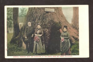 SANTA CRUZ CALIFORNIA GENERAL FREMONT HUGE TREE VINTAGE POSTCARD 1906