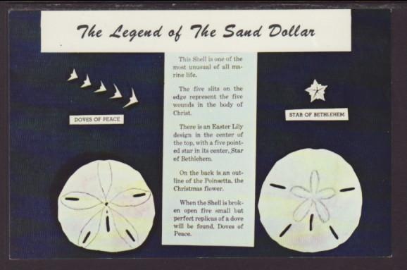 Legend of the Sand Dollar Postcard 