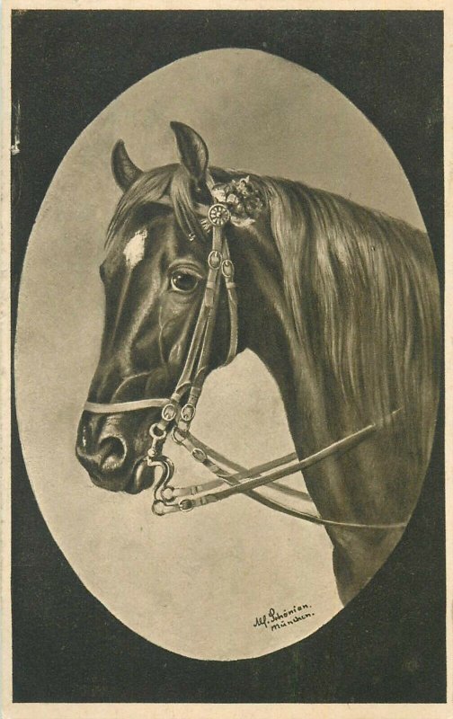 Horse M. Schonian artist signed vintage postcard