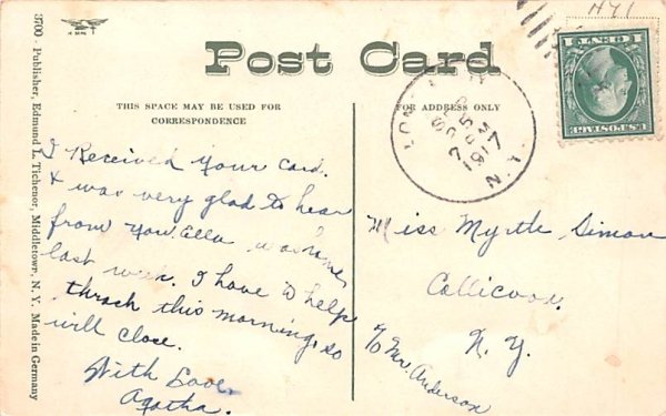 Pleasant Drive Hancock, New York Postcard