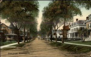 Richmond Hill Long Island NY Beach St. c1910 Postcard