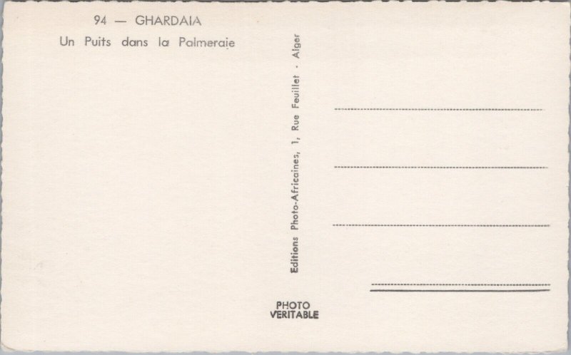 Algeria Ghardaia Un Puits Dans la Palmeraie Vintage RPPC C171