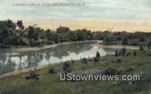Johnson's Pond in New Brunswick, New Jersey