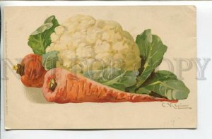461905 KLEIN vegetable garden Cauliflower & carrot Vintage postcard M&B #1220