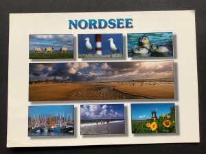 NORDSEE. Highlights to see, birds, seals, beach, windmill etc Postcard Ref 61213 