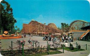 1960'S Amusement park Roller Coaster MEXICO Ammex postcard 6523