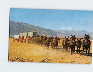 Postcard Twenty Mule Team, Death Valley, California