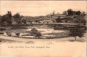 Postcard NATURE SCENE Springfield Massachusetts MA AM7398