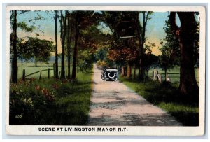 1920 Road Scene at Livingston Manor Liberty New York NY Antique Vintage Postcard