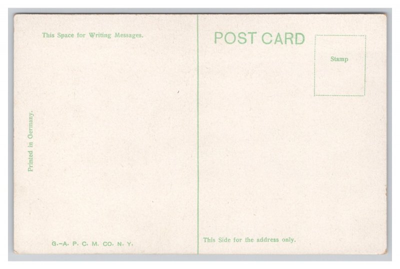 St. Augustine FLA. Florida Whitneys Oldest House In The U. S. Postcard