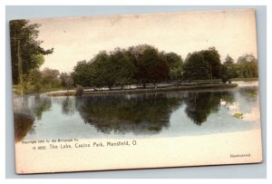 Vintage 1905 Postcard Swans on The Lake at Casino Park Mansfield Ohio