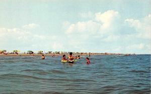 GALVESTON, TX Texas  STEWART BEACH  Ocean View~Swimmers ROADSIDE Chrome Postcard