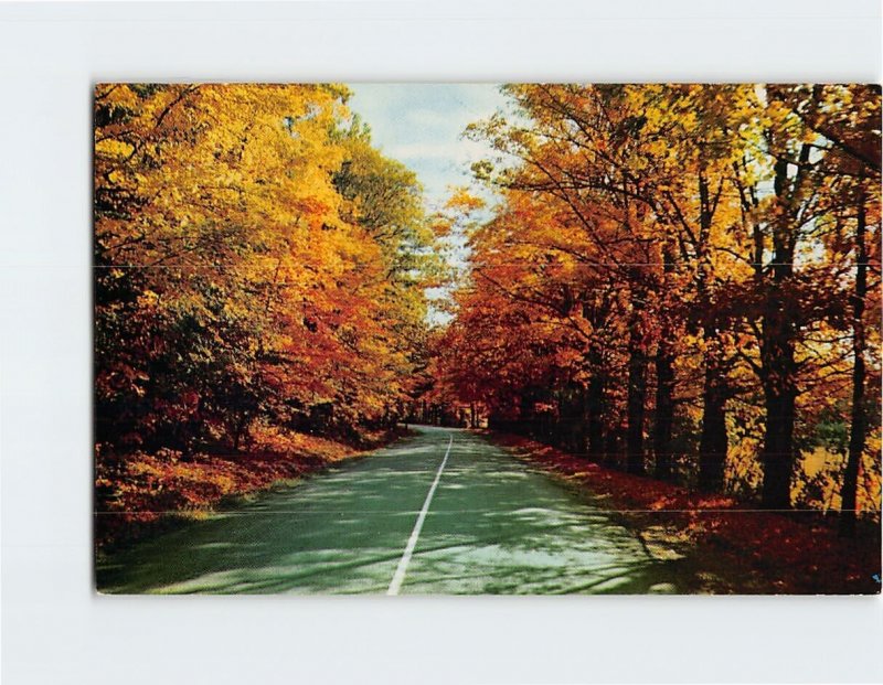 Postcard Magnificent fall foliage spectacle, Vermont