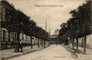 CPA FROISSY L'Avenue des Tilieuls (377112)