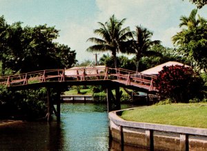 Authentic Wooden Foot Bridge at Boca Raton Postcard FL Unposted
