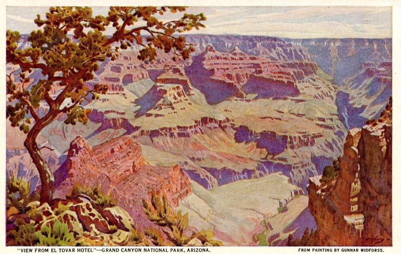 AZ - Grand Canyon National Park. View from Hotel El Tovar   (Fred Harvey)