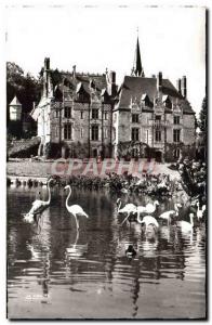 Old Postcard From Cleres Zoological Park Chateau Zoo Flamingos And Roses