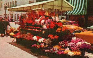 Vintage Postcard 1968 Sidewalk Flower Street Vender San Francisco California CA