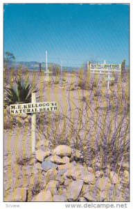 Grave of M.E.  Kellogg,  Tombstone,   Arizona,   40-60s