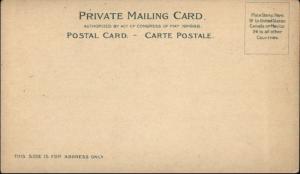Milwaukee WI Whitefish Bay Resort c1900 Private Mailing Card