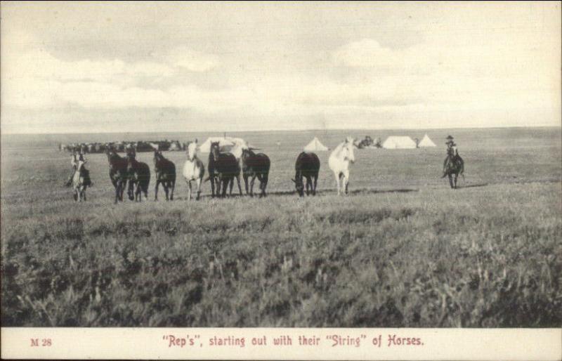 Montana Cowboys Rep's String of Horses Publ in Chinook c1910 Postcard rpx