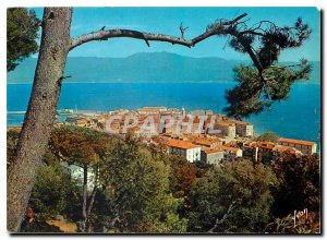 Postcard Modern Colors and Light of France Corsica Ajaccio Beauty Oasis Gener...