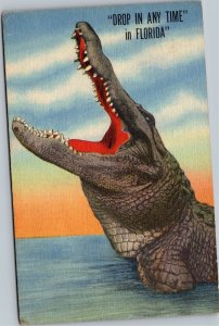 Postcard comic FL Alligator open mouth Drop in any time
