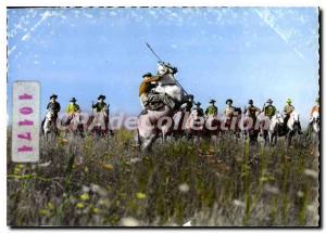 Postcard Modern Camargue herdsmen