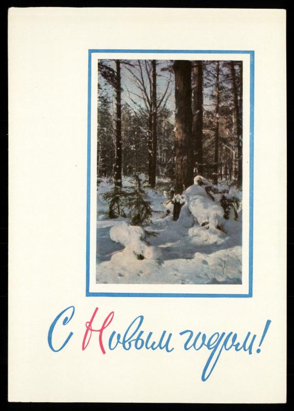 1967 Christmas Tree in Snow Forest by Beketov New Year Russian Unposted postcard