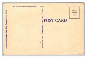 You Throw Snowballs For Me While I Pick Oranges For You Postcard