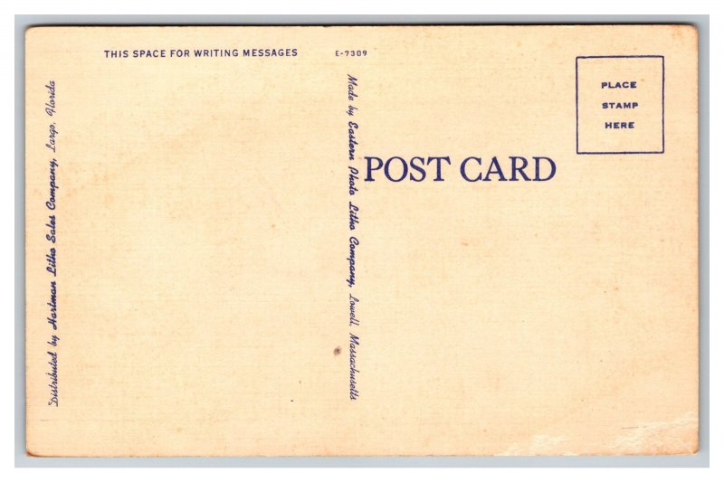 You Throw Snowballs For Me While I Pick Oranges For You Postcard