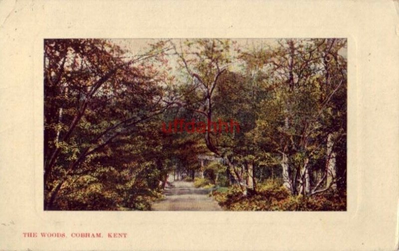 THE WOODS COBHAM KENT ENGLAND UK 1908